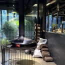 수원갈비 | [수원왕갈비] 본수원갈비 내돈내산 솔직 후기