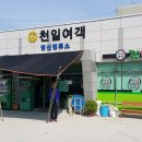 천일여객 영산정류소 이미지