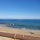 해변수산 이미지