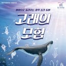 고래의 모험 이미지