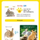 자연동화 이미지