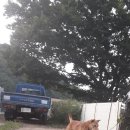 만세동농장 이미지