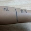더파팩트 이미지