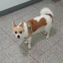 앞섬농장 이미지