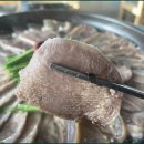 백년육일집 이미지