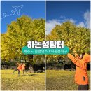 하논의 아침 | 제주도 단풍, 하논성당터 은행나무 겨울둘레길