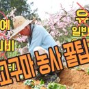 인비슈퍼
