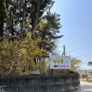 [대부도아라뜰캠핑장 후기]