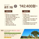 투게더항공여행사 이미지