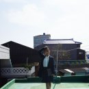 미센스홈플러스 이미지