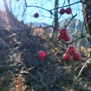 곡성-259 이미지