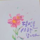 도전 악필탈출 이미지