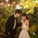 스튜디오달리 이미지
