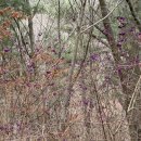 대봉식당 | 수안보 감자전, 칼국수 찐 맛집 대봉식당 후기(서울시 수안보 연수원 근처 맛집 추천)