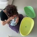 구미 닥터맘 이든맘 산후도우미 후기