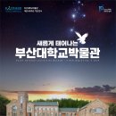 부산대박물관 이미지