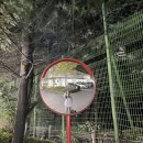 도쿄 기행록 1日 / 날아서 태풍속으로
