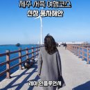 푸른신창 | 제주 서쪽 여행 가볼만한곳 신창풍차해안 주차 노을 방문 팁