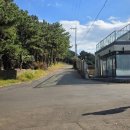 사프리카 더 캠프 이미지