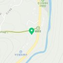 소금강늘벗 이미지