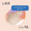 호산 | 39주 1일, 출산 후기 (호산병원, 제왕절개, 이채민원장님)