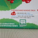 평창오미자영농조합법인 이미지