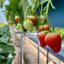 (주)해주 이미지