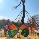 제2수창공원 이미지