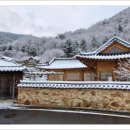 단양 마중 이미지