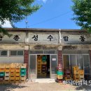 사선 막걸리 이미지