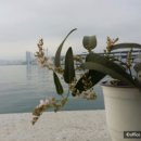삼층다방 이미지