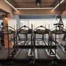 레이디핏 여성전용 피트니스 이미지