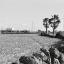 동일리-10 네이버블로그