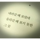 고은;꽃 이미지