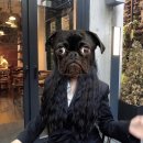 본헤어랜드 이미지