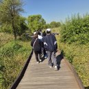 26년 10월 8일 ＜산책-배곧생명공원＞ 이미지
