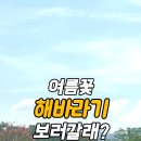 숲바람수변공원 이미지