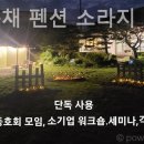 소라지 이미지