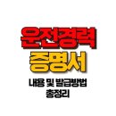 운전경력증명서 발급 방법 5가지, 어떤 게 가장 빠를까? 이미지