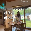 청주 촌캉스 컨추리바이브 통창마당뷰 자쿠지 조식까지