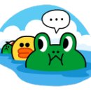 원아로마 이미지