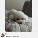 라이즈커피