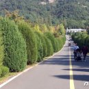 이화산림