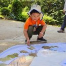 하늘 숲 어린이집 | 방학3동 국공립 어린이집 l 생태어린이집 l 24절기 l 5세 후기