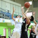 함덕초등학교 이미지