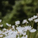 연인그리다