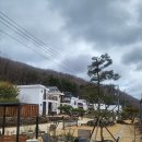 별비채펜션 | 경상북도 칠곡군 황학산비채숲펜션, 후기, 가는법, 리뷰