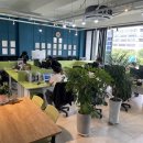 드림부동산중개법인주식회사 이미지