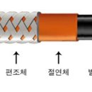 정온 이미지