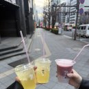 포토메덱스코리아(유) | 20260309 - 도쿄2일차 (가마쿠라, 신주쿠 이자카야 어어가, 돈키호테, 가마쿠라 포토스팟)